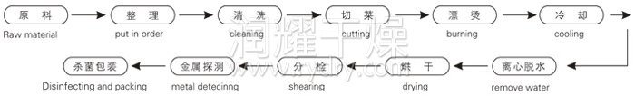 脫水（shuǐ）蔬（shū）菜帶式幹燥工藝流程